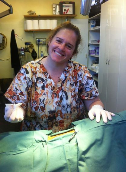 Raymond Terrace Veterinary Clinic - Vets Adelaide 4