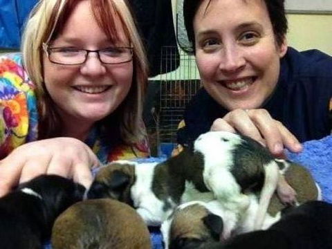 Raymond Terrace Veterinary Clinic - Vets Adelaide 5