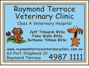 Raymond Terrace Veterinary Clinic - Vets Adelaide 6
