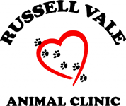 Woonona East NSW Vets Adelaide