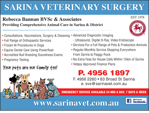 Sarina Veterinary Surgery - Vets Adelaide 1