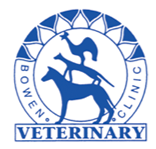 Seth McIntosh Bowen Vet - Vets Adelaide