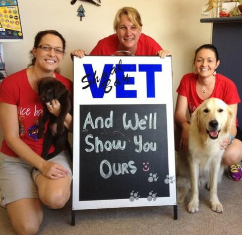 Shoal Bay Veterinary Clinic - Vets Adelaide 4