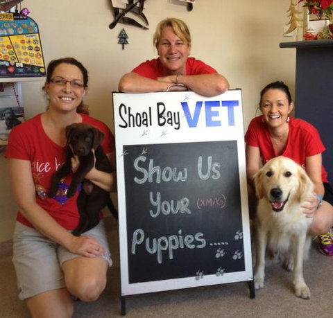 Shoal Bay Veterinary Clinic - Vets Adelaide 5