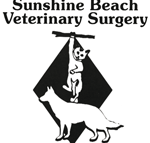 Sunshine Beach Veterinary Surgery - Vets Adelaide