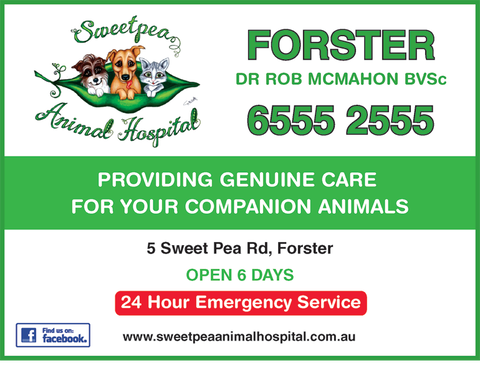 Sweet Pea Animal Hospital - Vets Adelaide 1