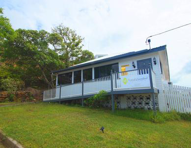 Tropical Queensland Cat Clinic - Vets Adelaide 1