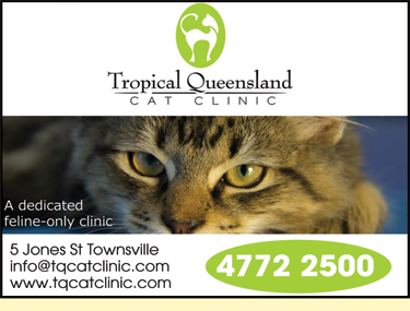 Tropical Queensland Cat Clinic - Vets Adelaide 6