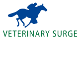 Turner Veronica Veterinary Surgeon - Vets Adelaide