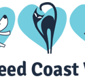 Tweed Coast Vet - Vets Adelaide