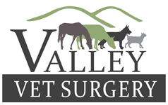 Valley Vet Surgery Mackay - Vets Adelaide 0