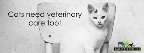 Valley Vet Surgery Mackay - Vets Adelaide 7