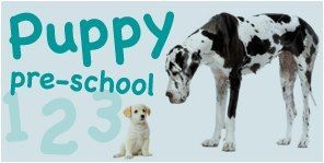 Valley Vet Surgery Mackay - Vets Adelaide 8