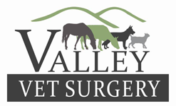  Vets Adelaide
