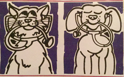 Veterinary Clinic Noosa Heads Pty Ltd - Vets Adelaide 0