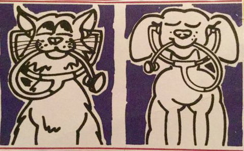 Veterinary Clinic Noosa Heads Pty Ltd - Vets Adelaide 1