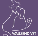 Wallsend Vet Newcastle - Vets Adelaide