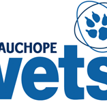 Wauchope Vets - Vets Adelaide