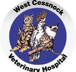 West Cessnock Veterinary Hospital - Vets Adelaide