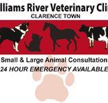 Williams River Veterinary Clinic