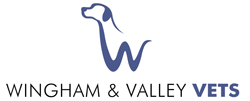  Vets Adelaide