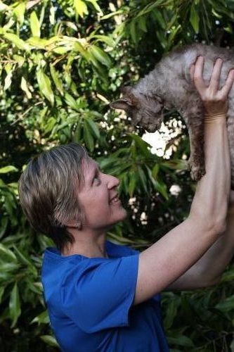 Yandina Vet Clinic - Vets Adelaide 1