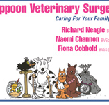 Yeppoon Veterinary Surgery - Vets Adelaide