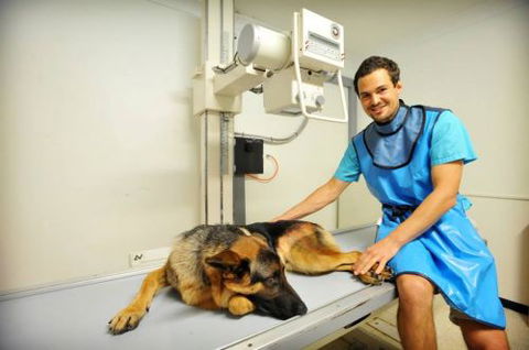 Pacific Vetcare - Vets Adelaide 0