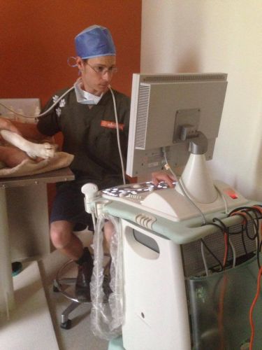 Pacific Vetcare - Vets Adelaide 1