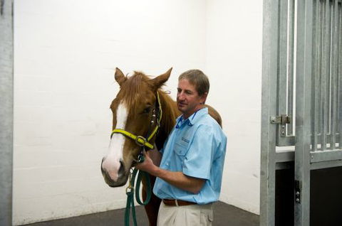 Pacific Vetcare - Vets Adelaide 2