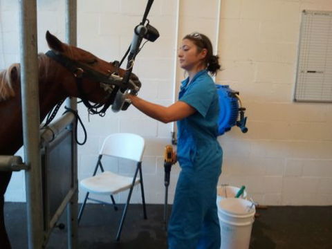 Pacific Vetcare - Vets Adelaide 9