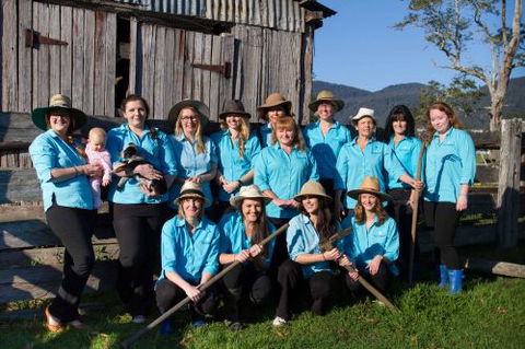 Pacific Vetcare - Vets Adelaide 11