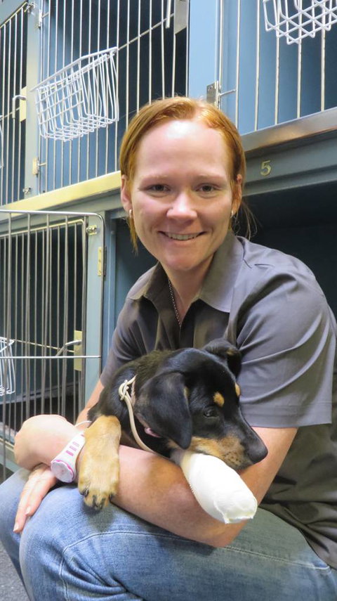 Grafton Veterinary Clinic - Vets Adelaide 0