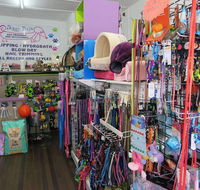 Doggy Days - Vets Adelaide