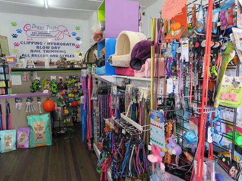 Doggy Days - Vets Adelaide 0