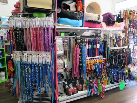 Doggy Days - Vets Adelaide 2