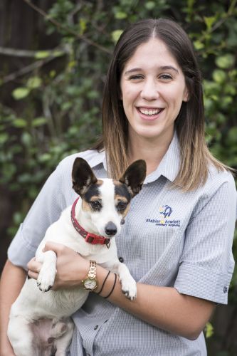 Stabler & Howlett Veterinary Surgeons–North Mackay - Vets Adelaide 4