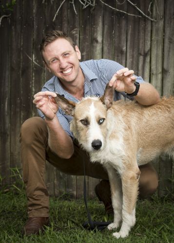 Stabler & Howlett Veterinary Surgeons–North Mackay - Vets Adelaide 5