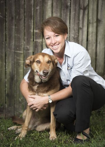 Stabler & Howlett Veterinary Surgeons–North Mackay - Vets Adelaide 6