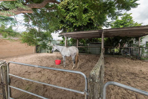 Stabler & Howlett Veterinary Surgeons–North Mackay - Vets Adelaide 9
