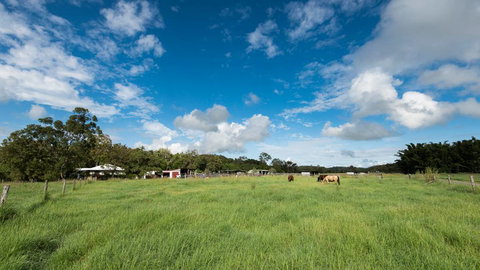 Stabler & Howlett Veterinary Surgeons–North Mackay - Vets Adelaide 11