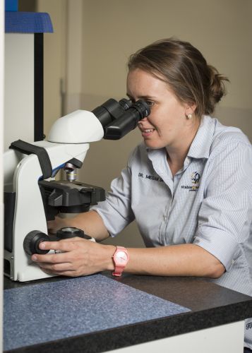 Stabler & Howlett Veterinary Surgeons–North Mackay - Vets Adelaide 17