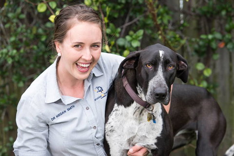 Stabler & Howlett Veterinary Surgeons–North Mackay - Vets Adelaide 21