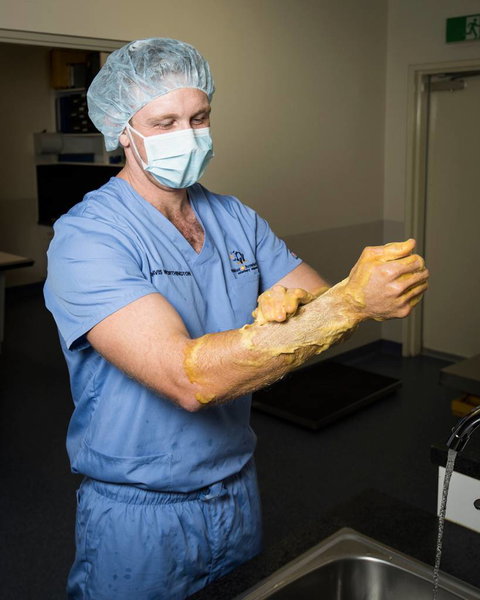 Stabler & Howlett Veterinary Surgeons–North Mackay - Vets Adelaide 23