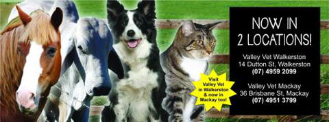 Stephenson Meghan Dr Valley Vet Surgery - Vets Adelaide 3