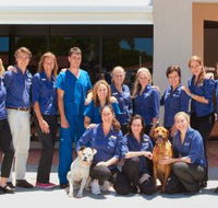 Berkhout Stacey Dr - Vets Adelaide