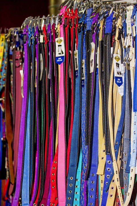 Whitsunday Better Pets - Vets Adelaide 2