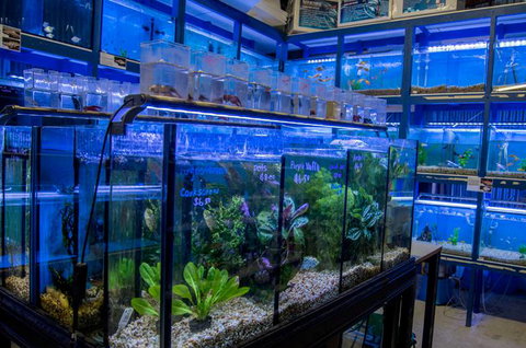 Radley’s Pet & Aquarium - Vets Adelaide 3