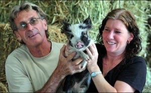 Noosa Rural Produce - Vets Adelaide 1